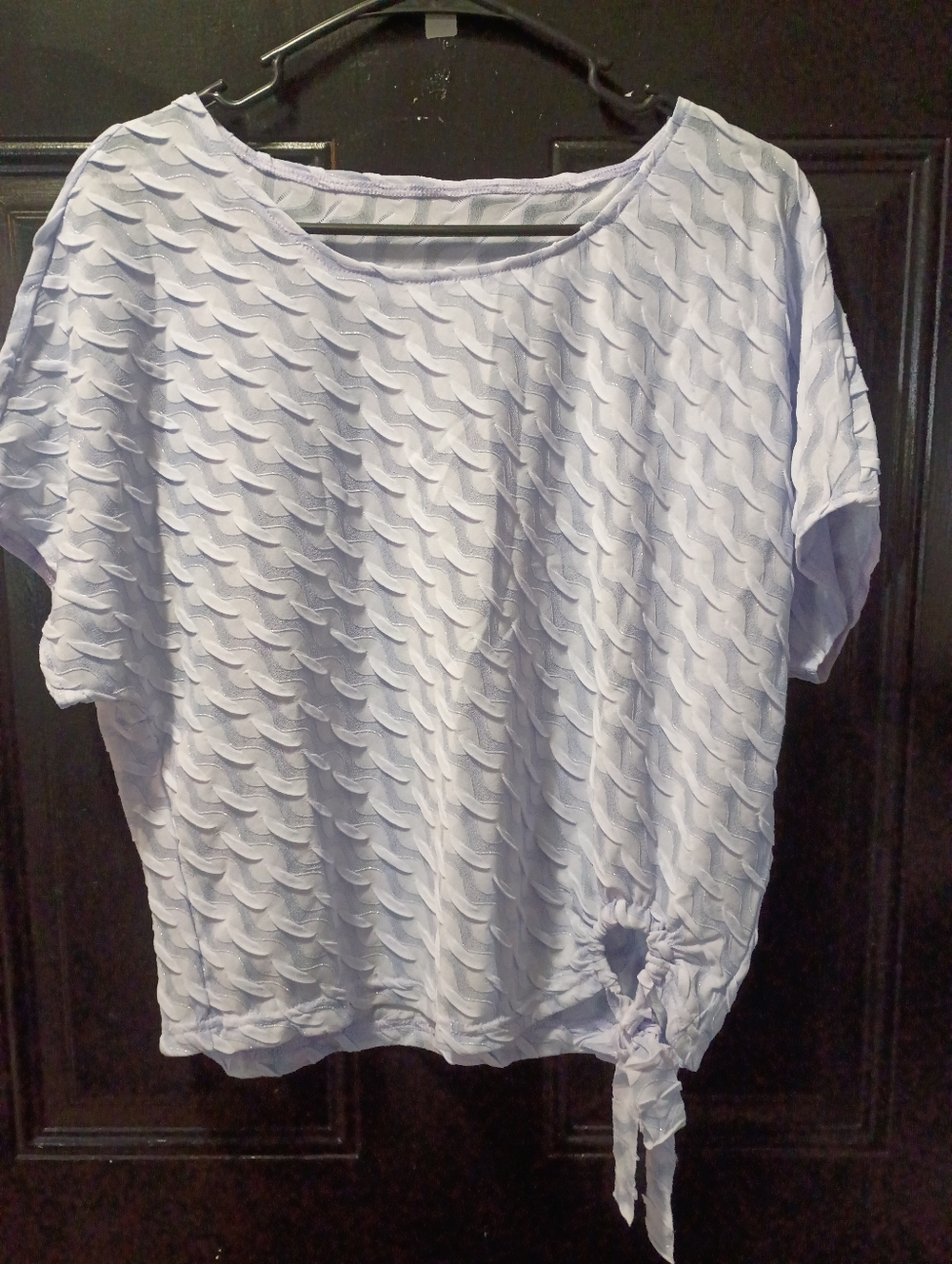 Women's "Telinvey" Purple Short Sleeve Bat Wing Blouse